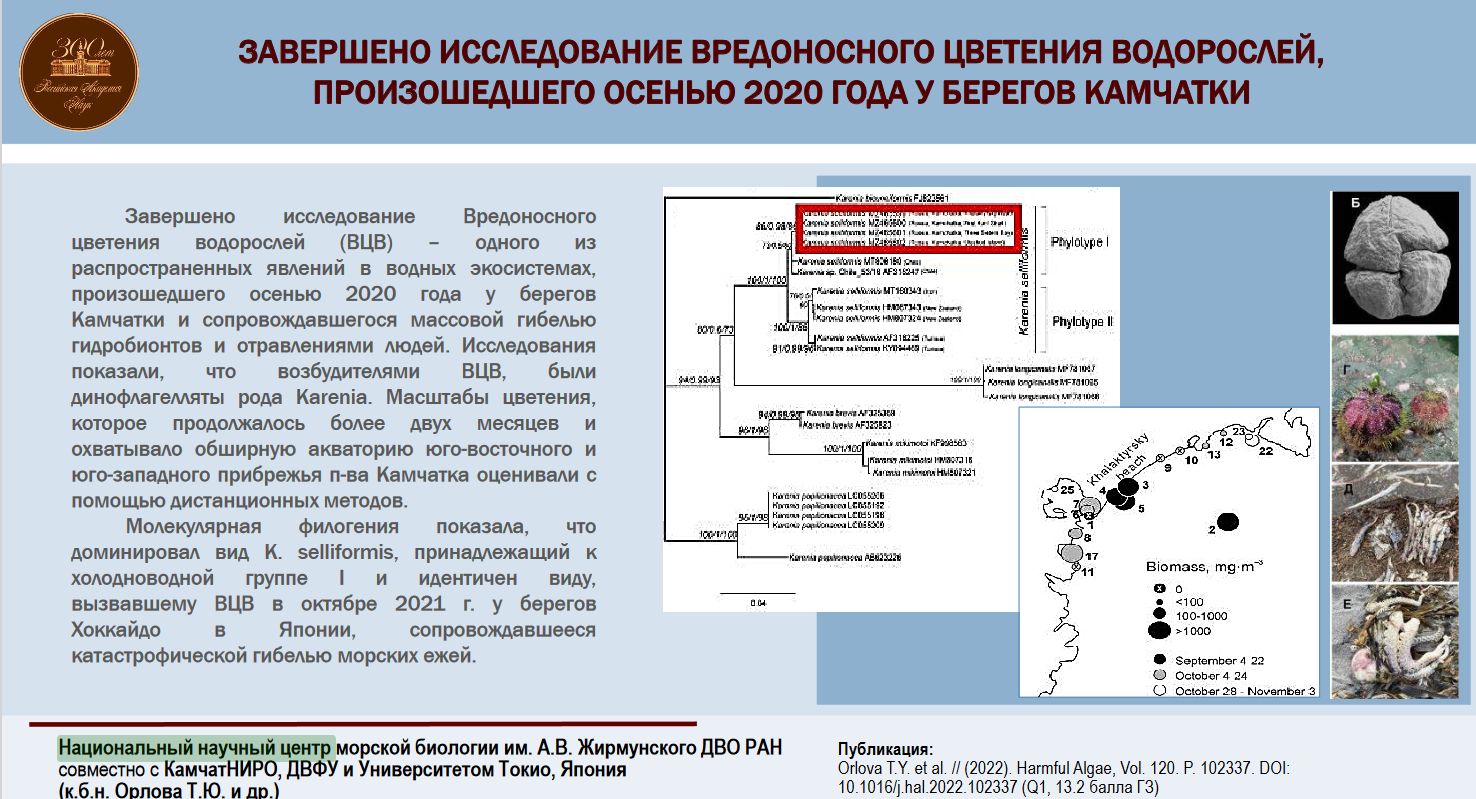 ВР1 2022