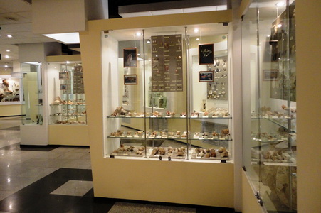 General view of the gastropod exhibition