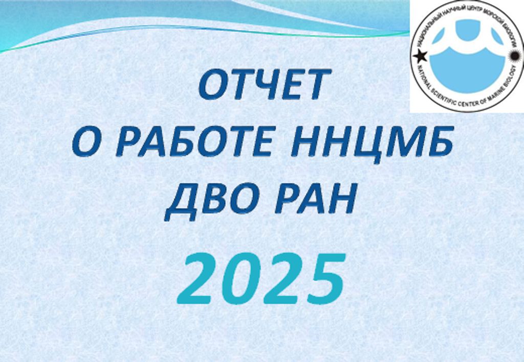 26032026 04