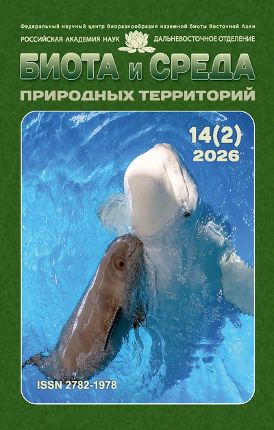 cover bena 02 2026