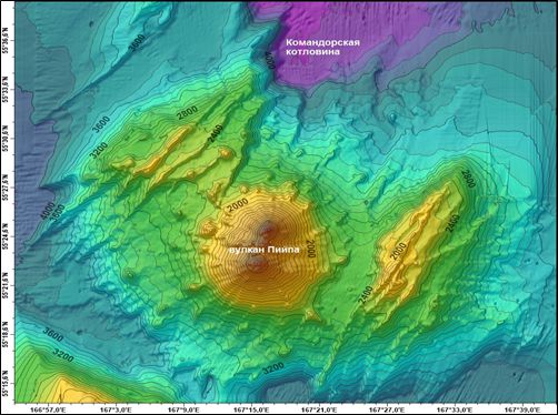 deep sea holothurians 01